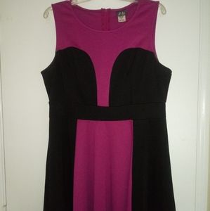Women Color Blocking Dress